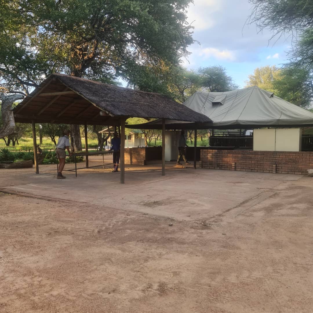 Thatched braai area at Maxi Ranch