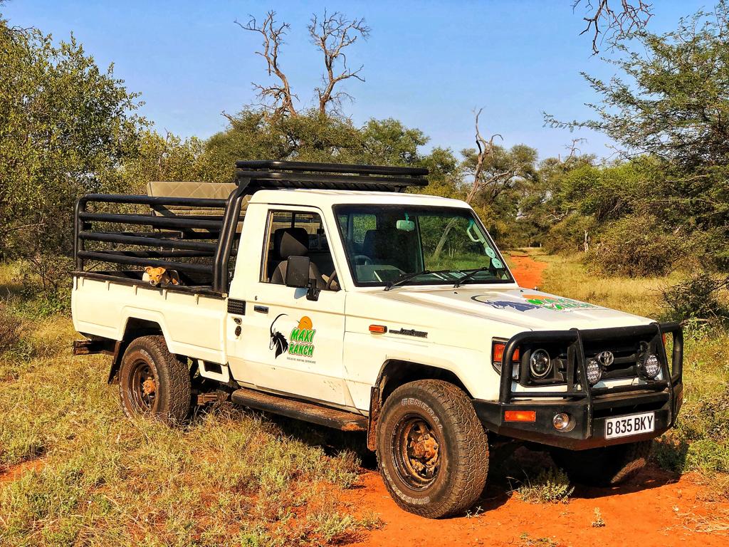 Safari vehicle alternate view